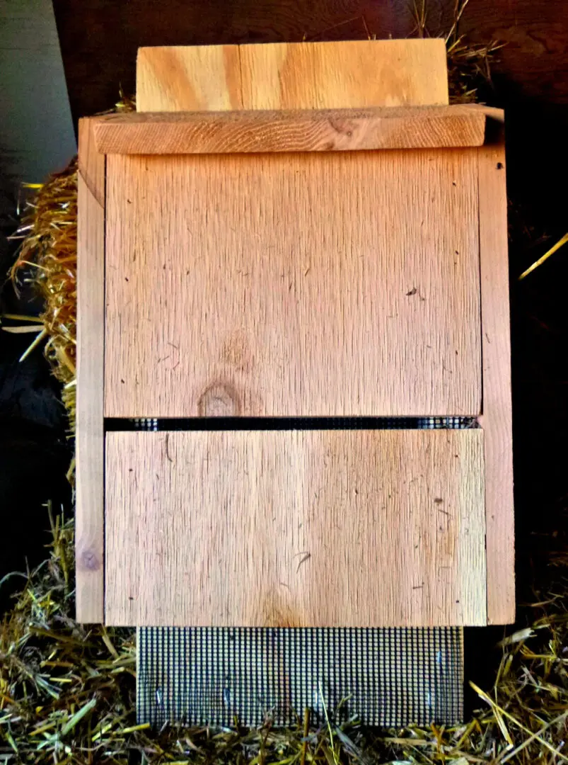 A wooden box sitting on top of a pile of hay.